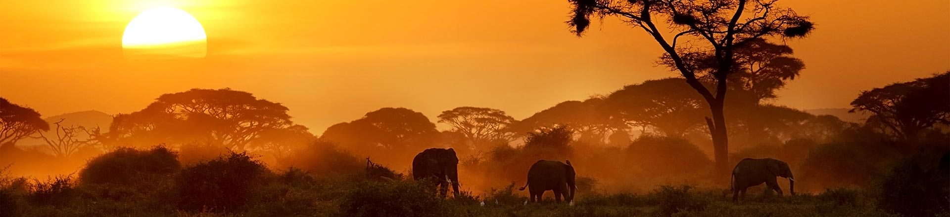 Connected-Conservation-1920x440