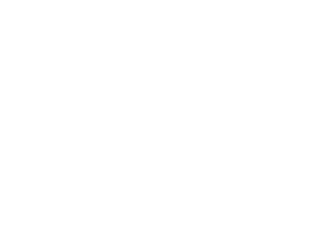 Icon for connected north