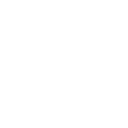 White ball icon