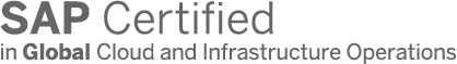 SAP Certified Global CIO