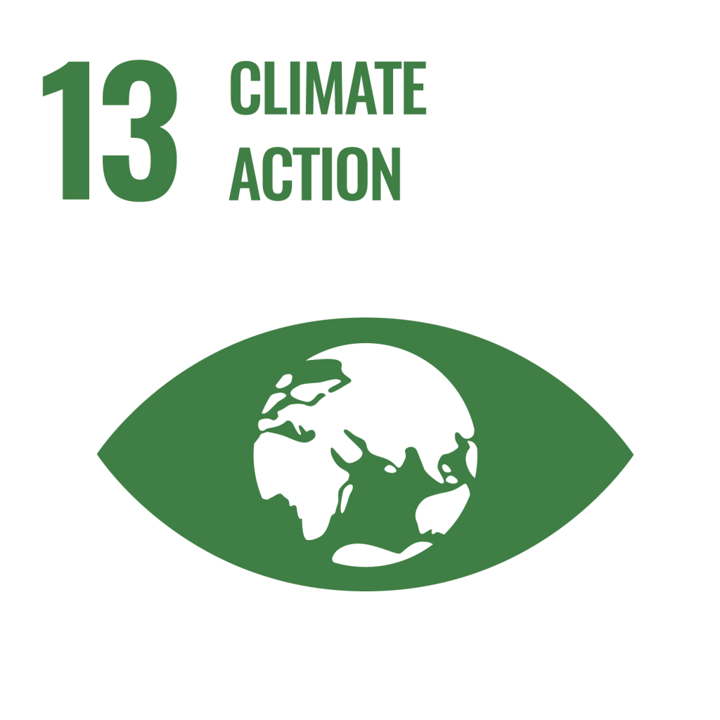 SDG 13 Icon