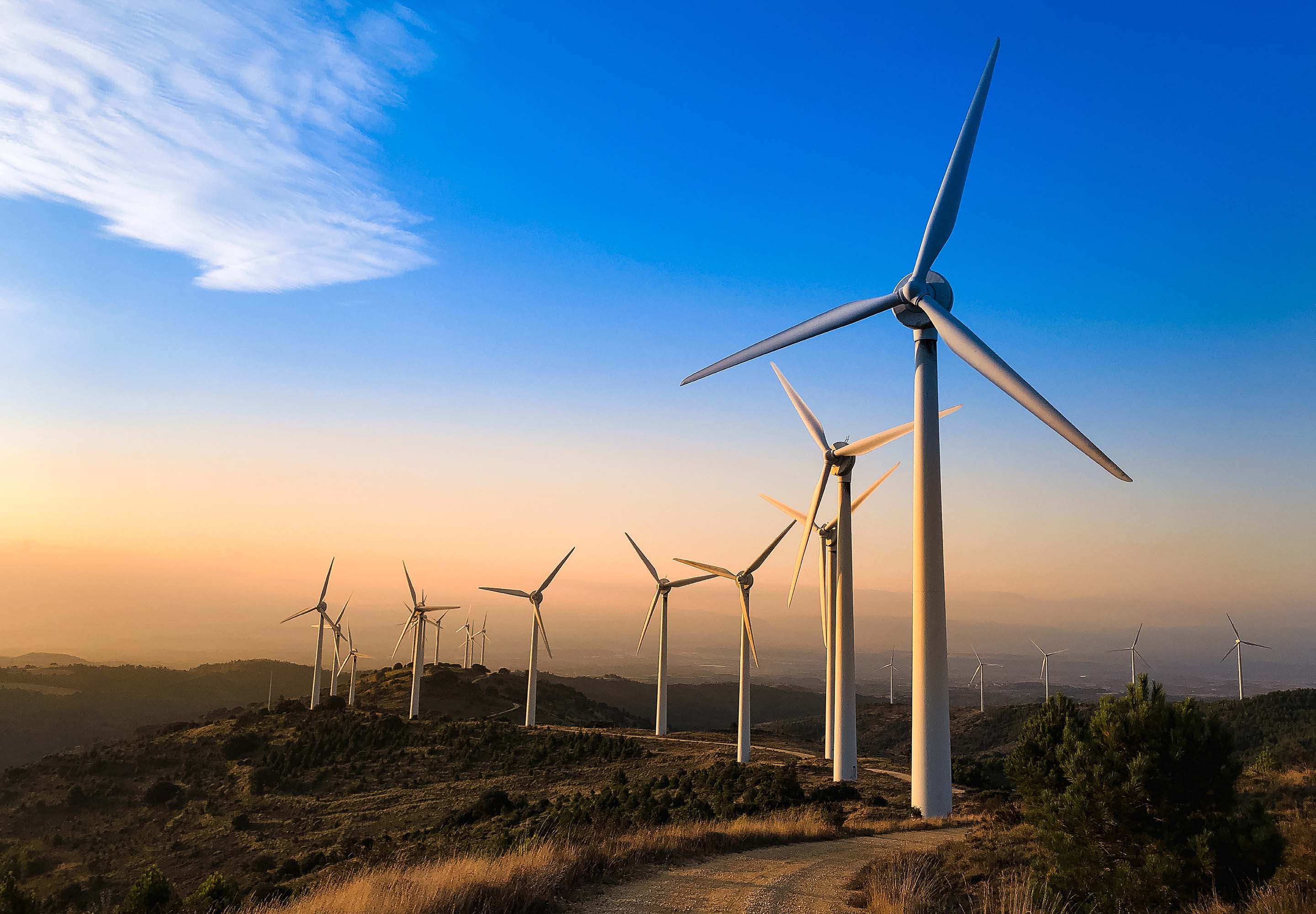 Windmill farm